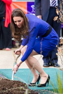 凯特王妃Kate Middleton肉丝高跟美腿植树姿势不错（第5张/共13张）