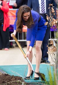凯特王妃Kate Middleton肉丝高跟美腿植树姿势不错（第6张/共13张）