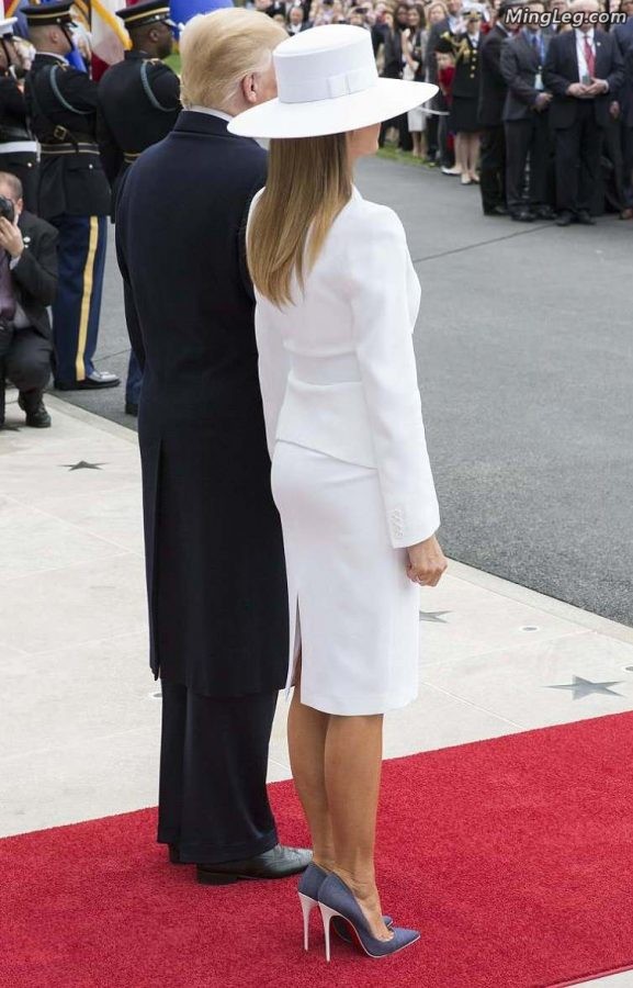 美国总统老婆Melania Trump法国总统老婆Brigitte Macron（第10张/共14张）