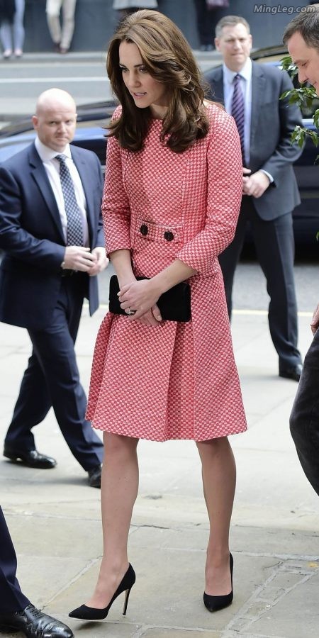 英国王妃Kate Middleton穿了很薄的丝袜（第10张/共18张）