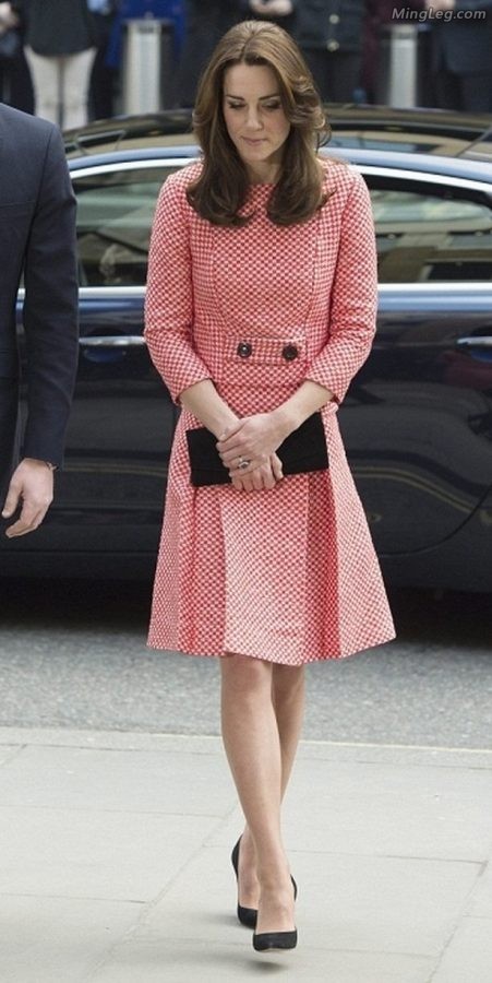 英国王妃Kate Middleton穿了很薄的丝袜（第11张/共18张）