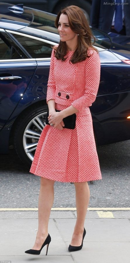 英国王妃Kate Middleton穿了很薄的丝袜（第12张/共18张）