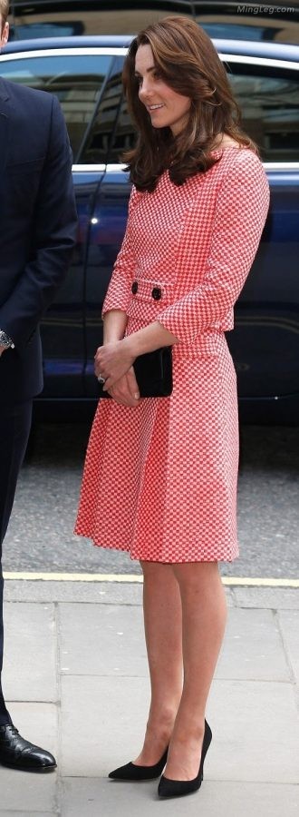 英国王妃Kate Middleton穿了很薄的丝袜（第13张/共18张）