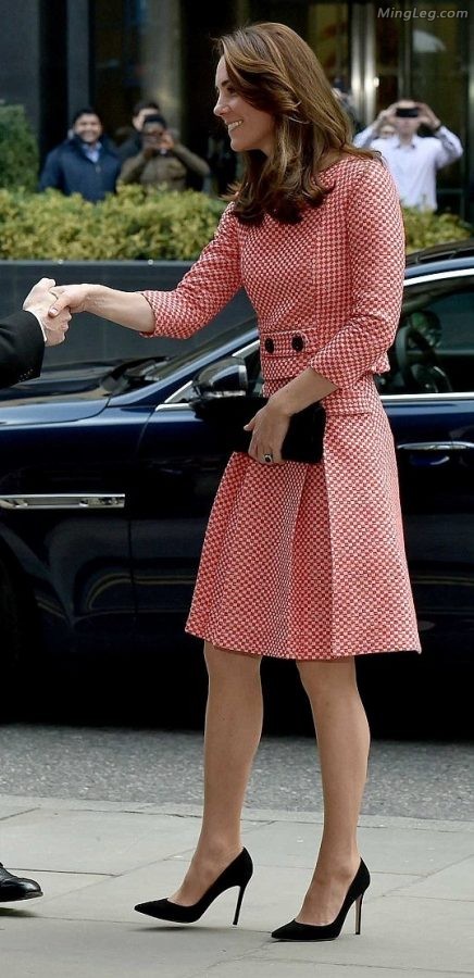 英国王妃Kate Middleton穿了很薄的丝袜（第15张/共18张）
