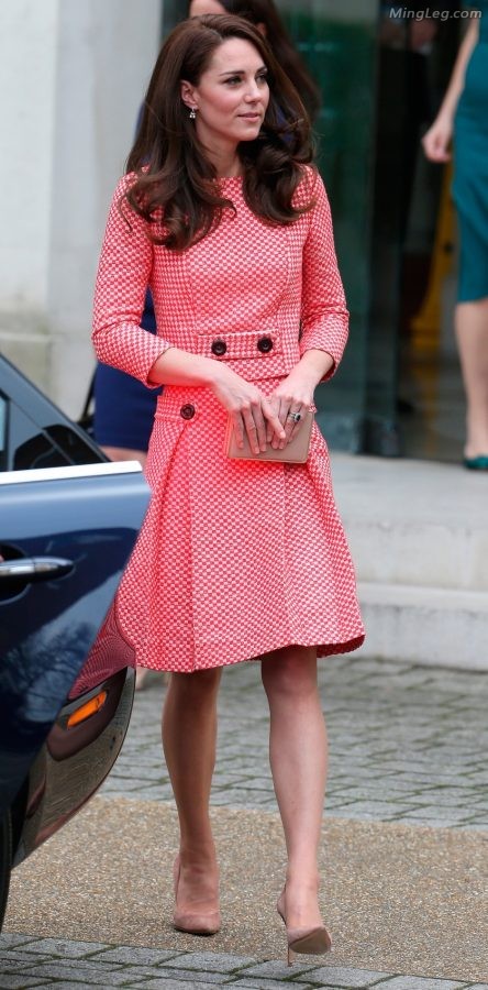 英国王妃Kate Middleton穿了很薄的丝袜（第16张/共18张）