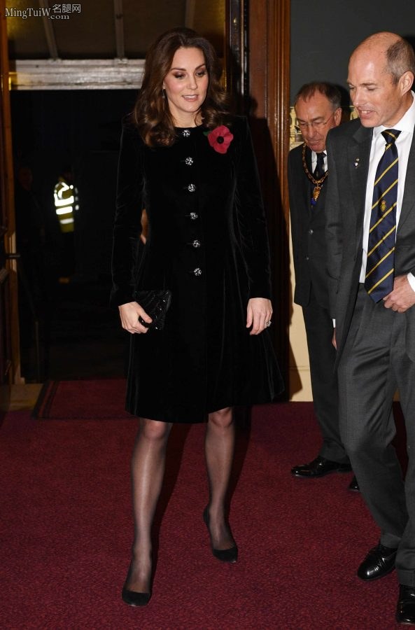 Kate Middleton王妃的黑丝袜高跟（第1张/共6张）
