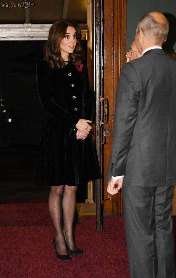 Kate Middleton王妃的黑丝袜高跟（第4张/共6张）