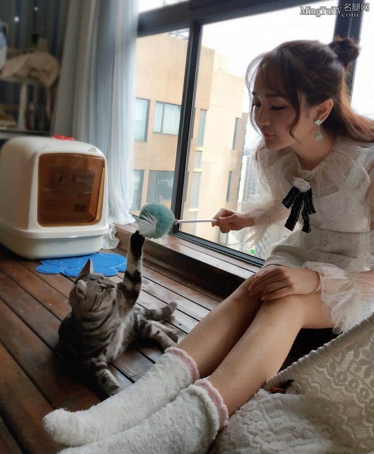 靳梦佳在家穿可爱棉袜逗猫（第3张/共4张）