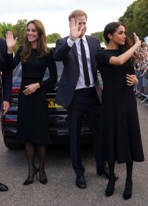 英国王妃Kate Middleton和Meghan Markle黑丝袜高跟乘以2（第5张/共23张）
